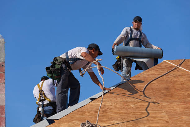 Best Gutter Installation and Roofing  in Fritch, TX