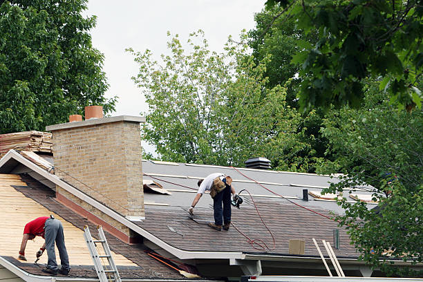 Best Roof Gutter Cleaning  in Fritch, TX